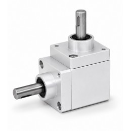 Bevel gearbox FIAMA...